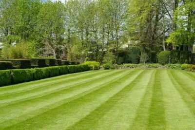 Lawn care and treatment by Camillo Pirone Landscapes in Princeton, NJ